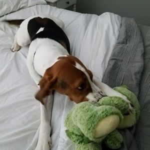 Meet your Posher, Jani